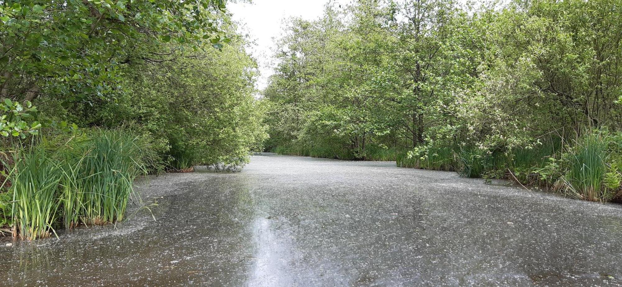 B&B De Zilverreiger Belt-Schutsloot Bagian luar foto