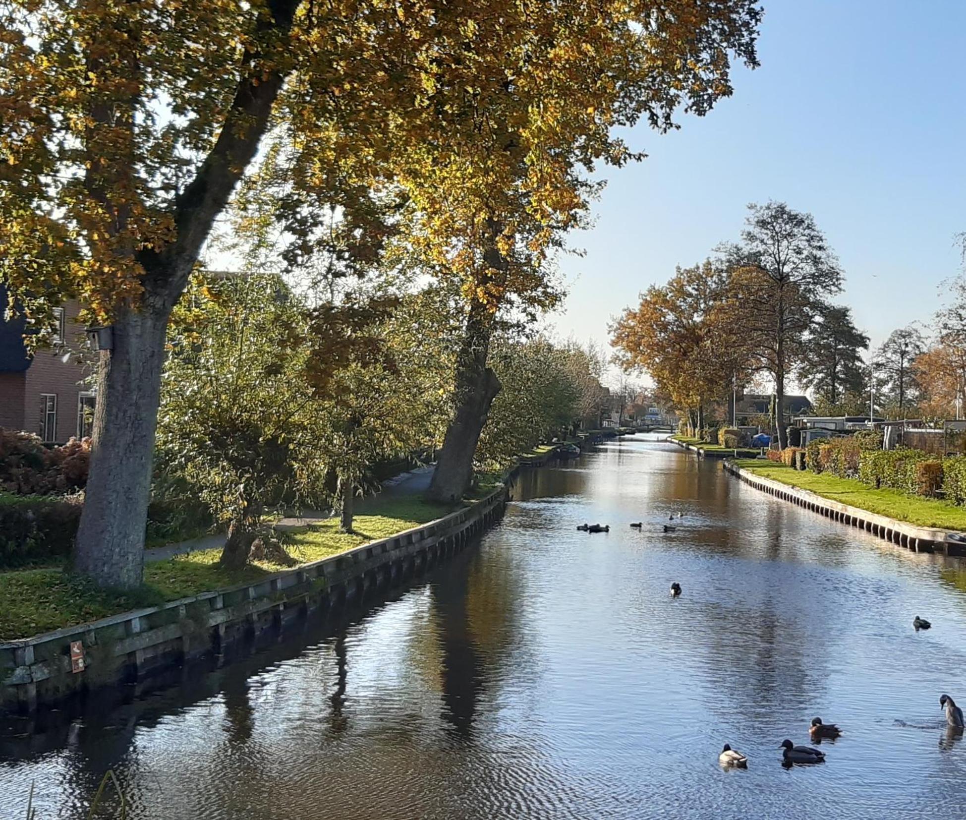 B&B De Zilverreiger Belt-Schutsloot Bagian luar foto